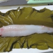 凝縮した深い味わい 真鱈の昆布締め レシピ 作り方 By Startrek 楽天レシピ 凝縮した深い味わい 真鱈の昆布締め レシピ 作り方 By Startrek 楽天レシピ